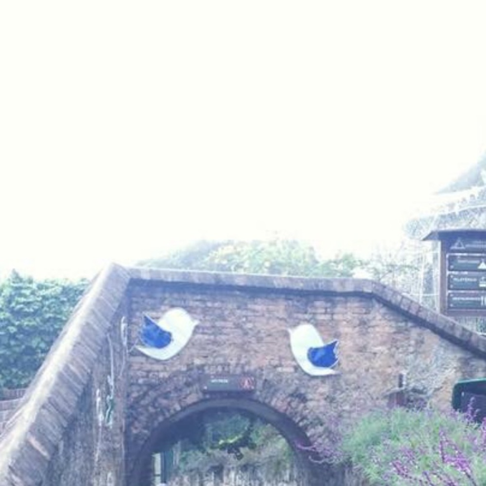 Meet your Posher, Julieta